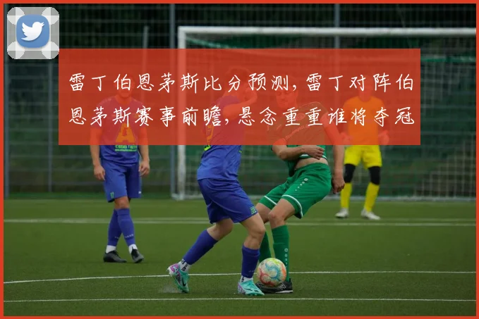 雷丁伯恩茅斯比分预测,雷丁对阵伯恩茅斯赛事前瞻,悬念重重谁将夺冠